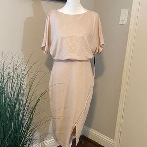 Kensie Shimmering Cream Midi Dress